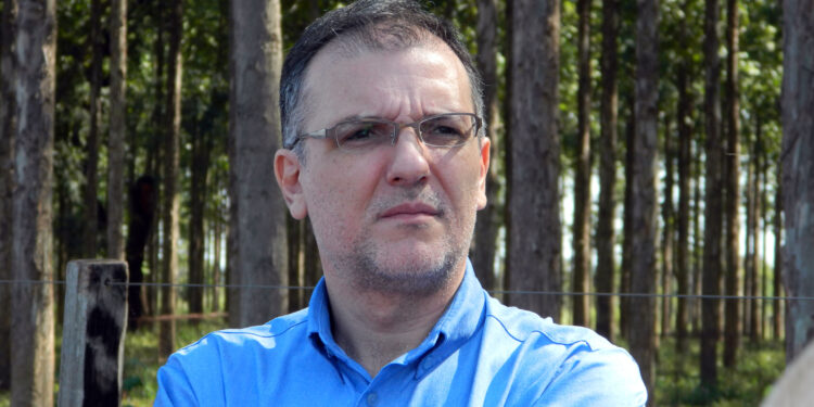 Oportunidades de ouro, ou melhor,“de carbono”