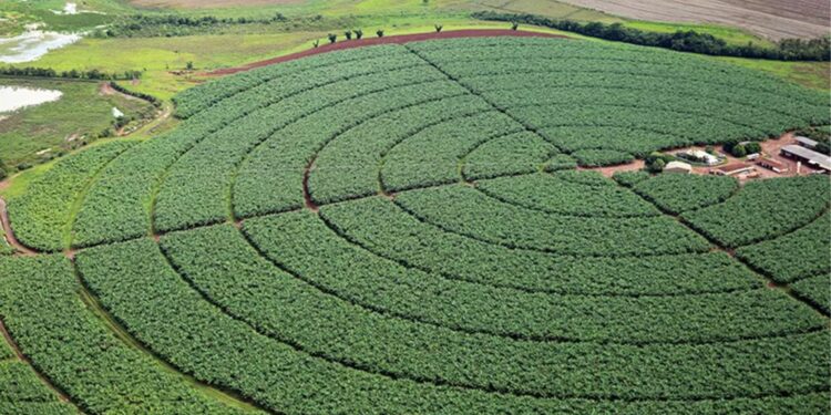 A segurança no campo é fator primordial para o crescimento da safra