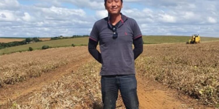 DO PIONEIRISMO NO TRIGOAO FEIJÃO: A IMPORTÂNCIADA DIVERSIFICAÇÃO EM MG