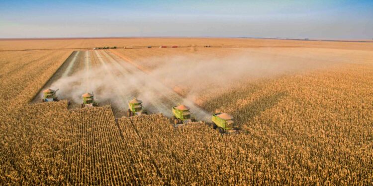 Commodities: parece que a bonança passou