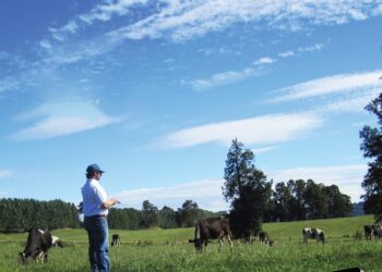 Megaleite 2023 já tem data