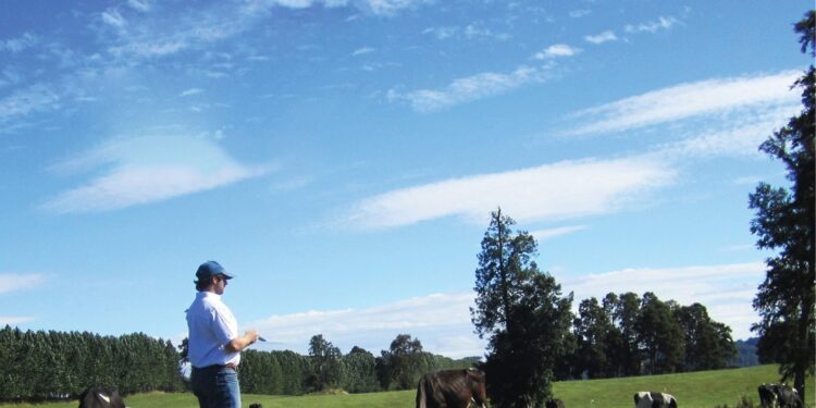 Megaleite 2023 já tem data