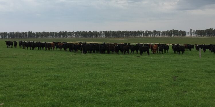 Intensificação do conhecimento no manejo de pastagens