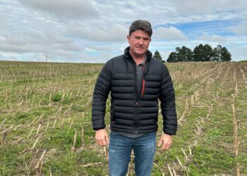 Créditos de soja sustentável: um bom caminho sem volta