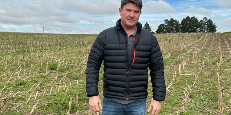 Créditos de soja sustentável: um bom caminho sem volta