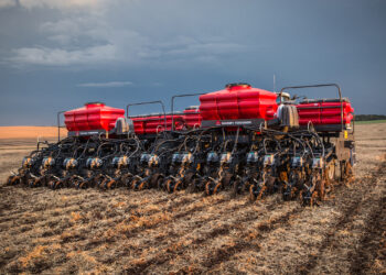 Sementes: replantio, a palavra proibida