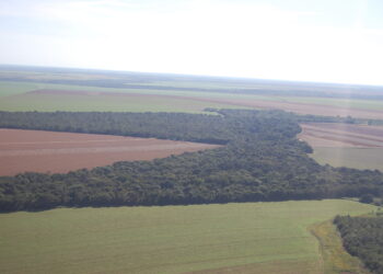 “Carnaval vermelho”: invasão de terras, marco temporal e Lula