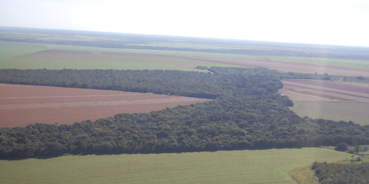 “Carnaval vermelho”: invasão de terras, marco temporal e Lula