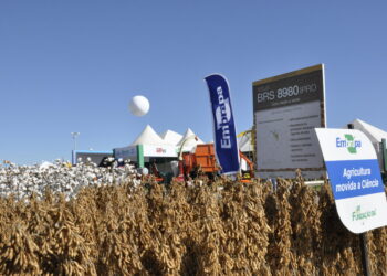 Embrapa: 50 anos na vanguarda da pesquisa em agricultura tropical
