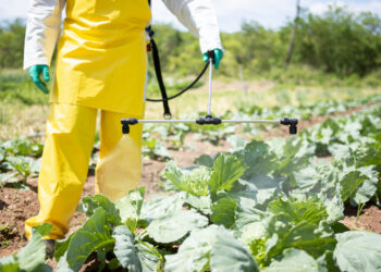Defensivos agrícolas são aliados da produção sustentável
