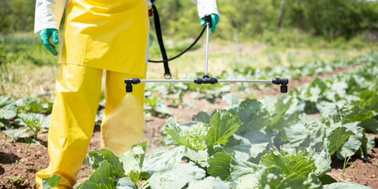 Defensivos agrícolas são aliados da produção sustentável
