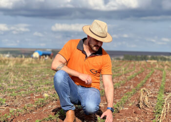 A construção equilibrada da fertilidade do solo