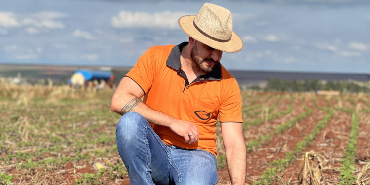 A construção equilibrada da fertilidade do solo