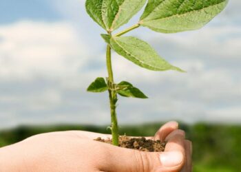 Agropecuária brasileira, seu futuro será ainda mais verde