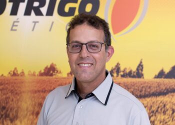 Biotrigo: 15 anos de pesquisa e inovações em trigo