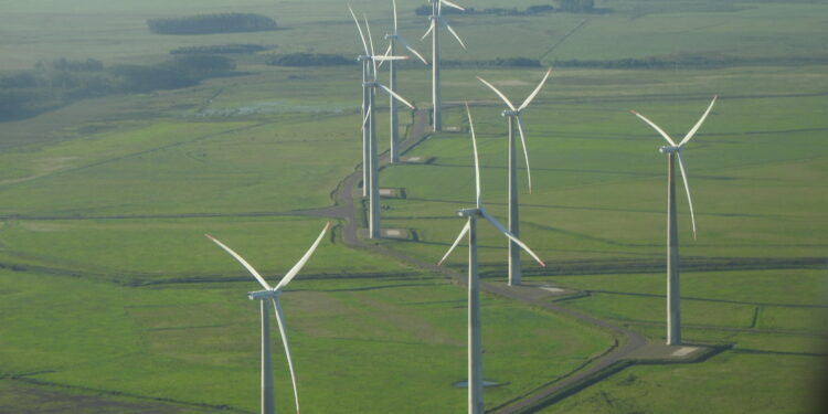 Você está pronto para “enverdecer”?