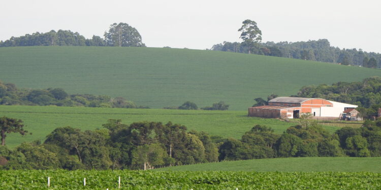 A era da (boa) reputação da propriedade rural