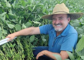 Casa de ferreiro, espeto de aço