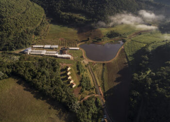 Nasce uma potência leiteira