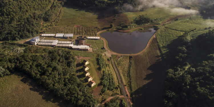 Nasce uma potência leiteira