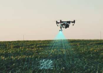 A conectividade como um insumo para a rentabilidade