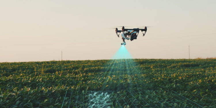 A conectividade como um insumo para a rentabilidade