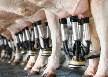 Preço pago maior, captação menor