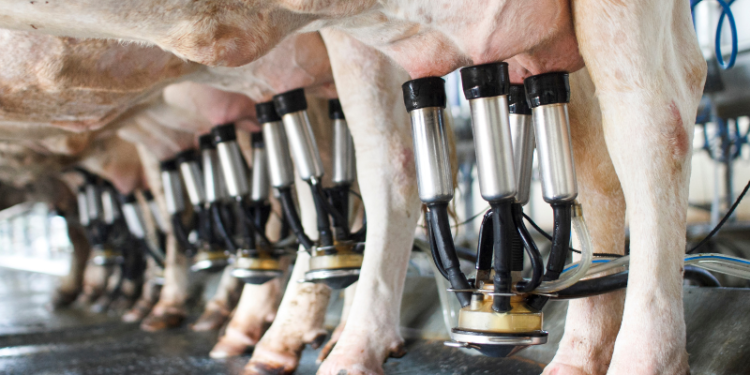 Preço pago maior, captação menor