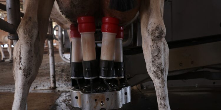 RúmiCash oferece R$ 200 milhões de crédito