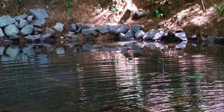 De onde vem a água da Fazenda?
