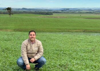 Diversificação que agrega valor a todo o sistema