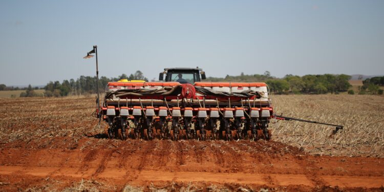 Em busca da semeadura perfeita