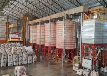 Quer ser um produtor de sementes?