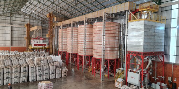 Quer ser um produtor de sementes?