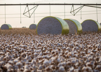 O peso do equilíbrio