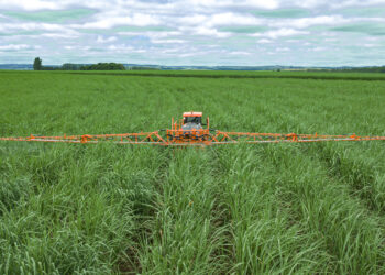 Números mais açucarados