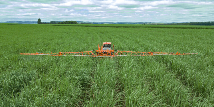 Números mais açucarados