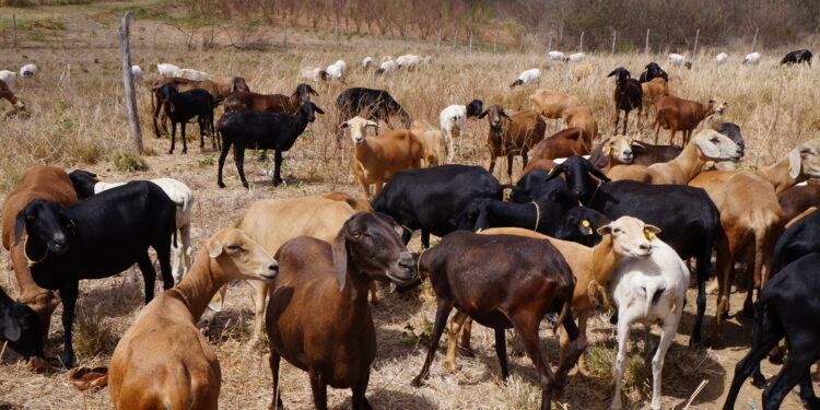 Hora de mirar as oportunidades
