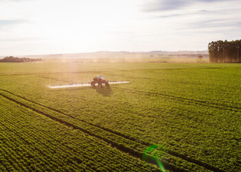 Cada vez mais colossal