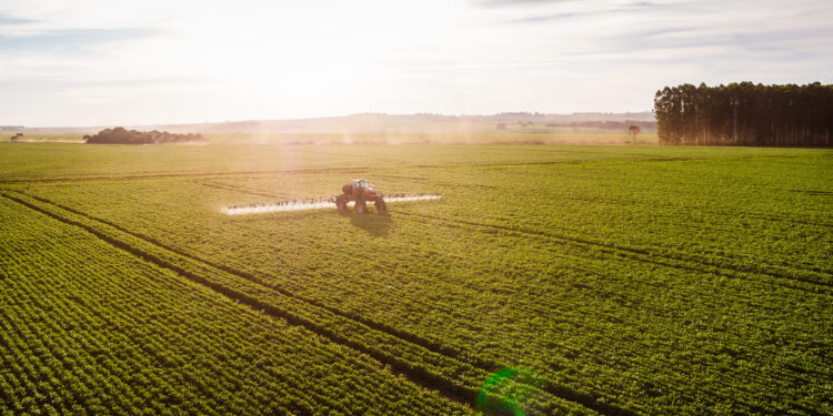 Cada vez mais colossal