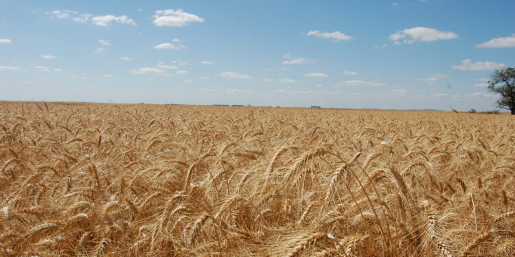 As cotações murcharam