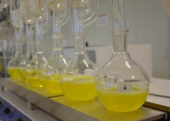 O lugar do agro brasileiro na nova bioeconomia