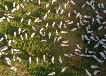 Onde será o fim do poço?
