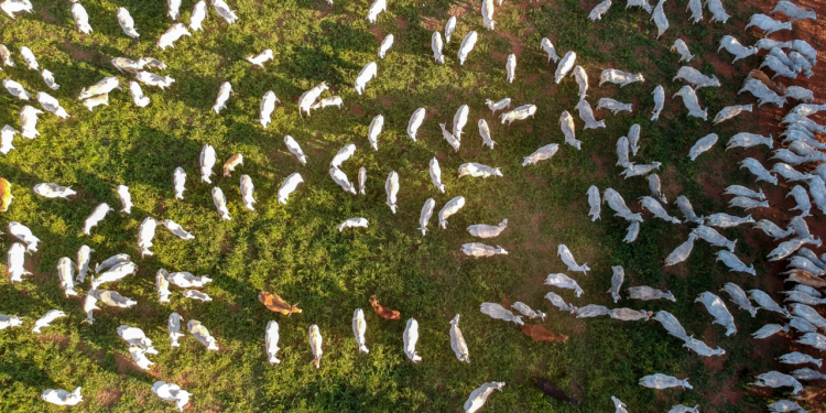 Onde será o fim do poço?
