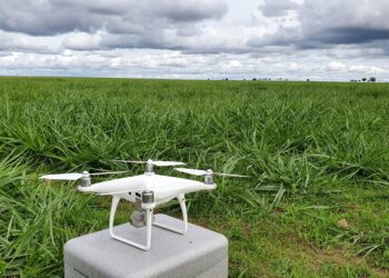 Drone apresenta confiabilidade razoável no monitoramento