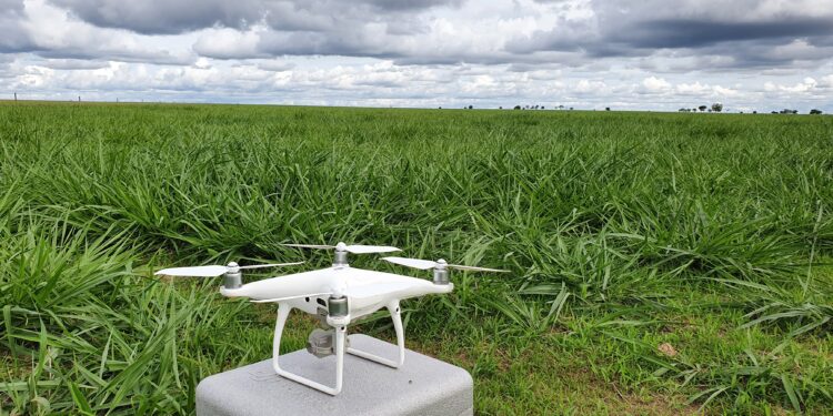 Drone apresenta confiabilidade razoável no monitoramento