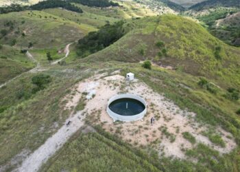 Gado produz 25% mais com água no bebedouro