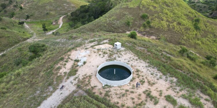 Gado produz 25% mais com água no bebedouro