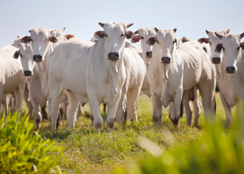 Saímos do fundo do poço!