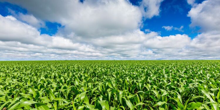 Práticas fundamentais contra os patógenos